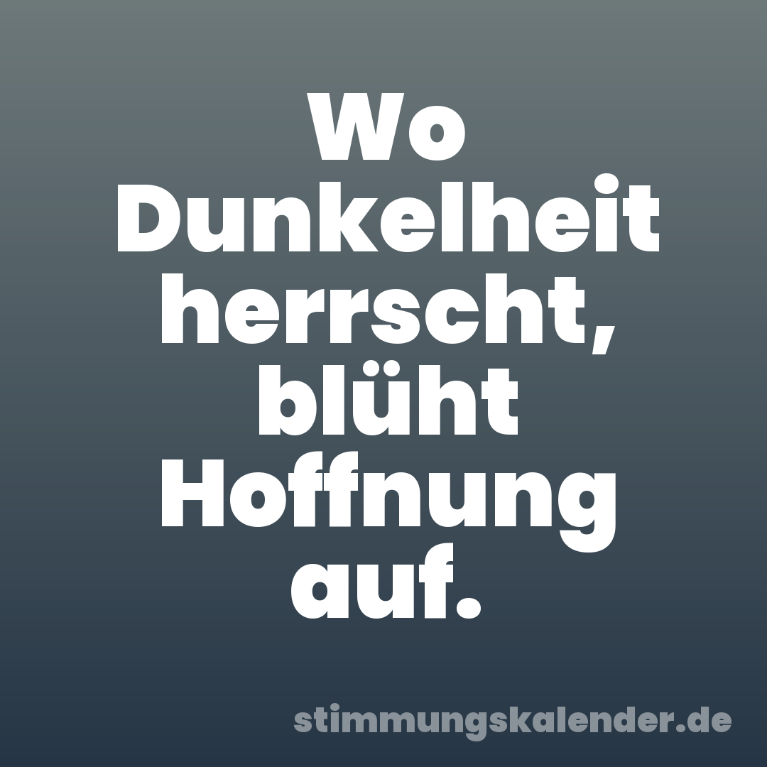 Wo Dunkelheit herrscht, blüht Hoffnung auf.