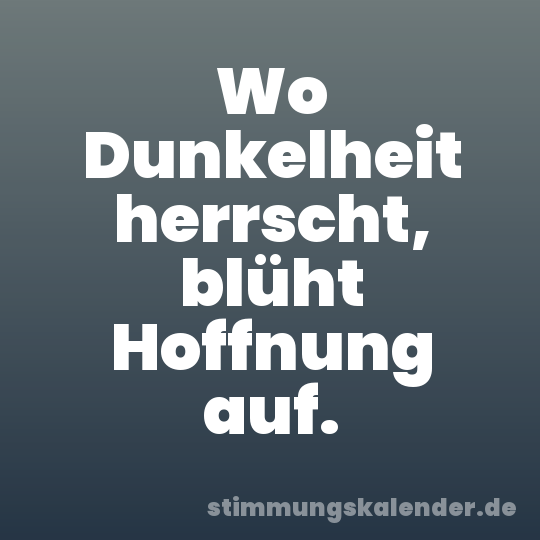 Wo Dunkelheit herrscht, blüht Hoffnung auf.