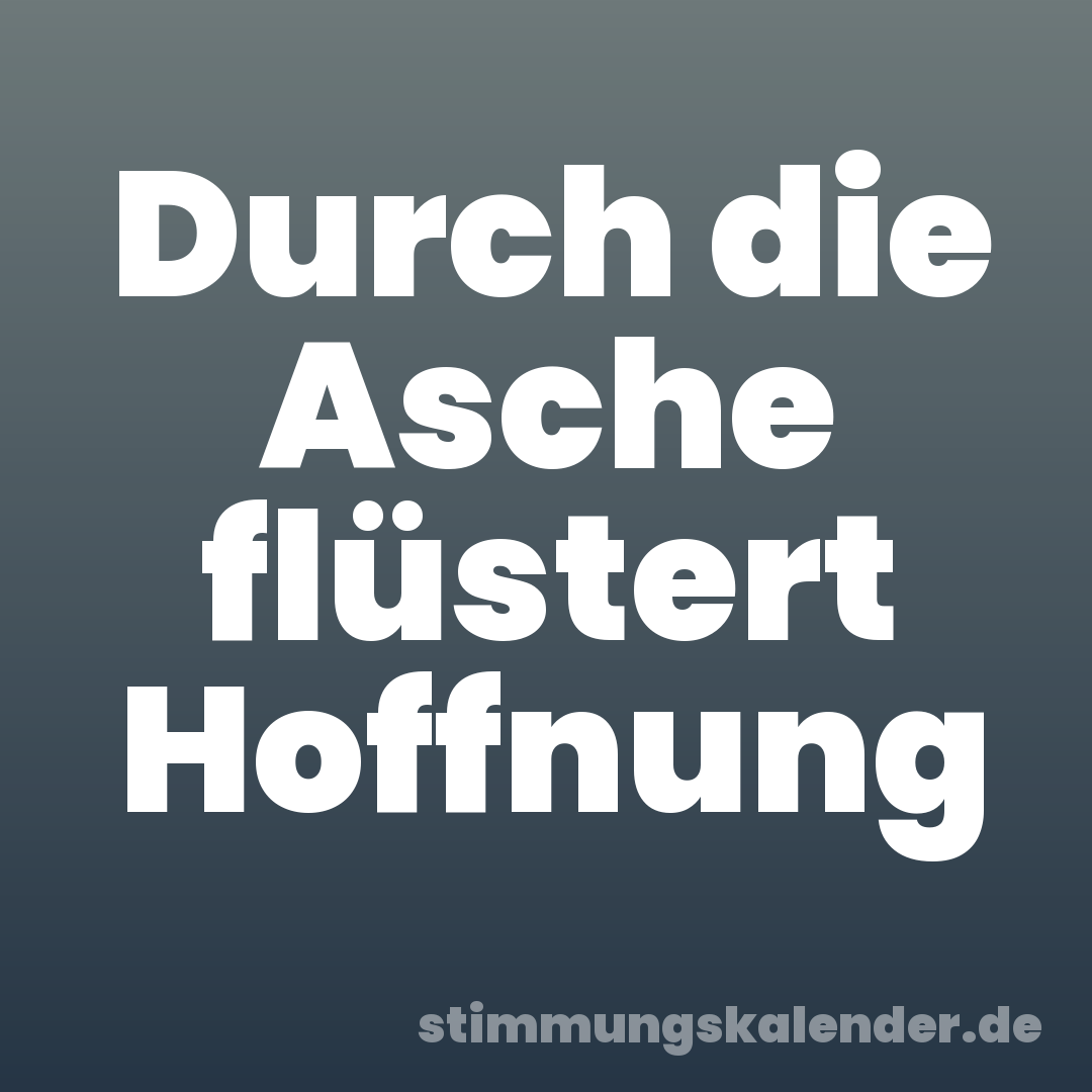 Durch die Asche flüstert Hoffnung