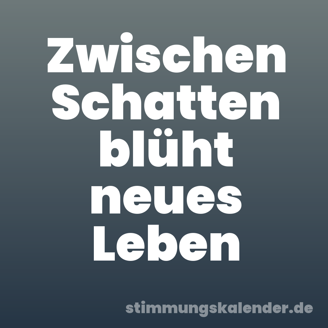 Zwischen Schatten blüht neues Leben