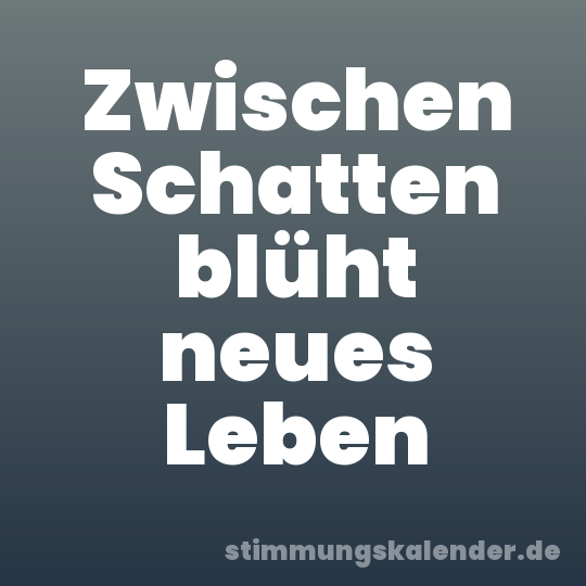 Zwischen Schatten blüht neues Leben