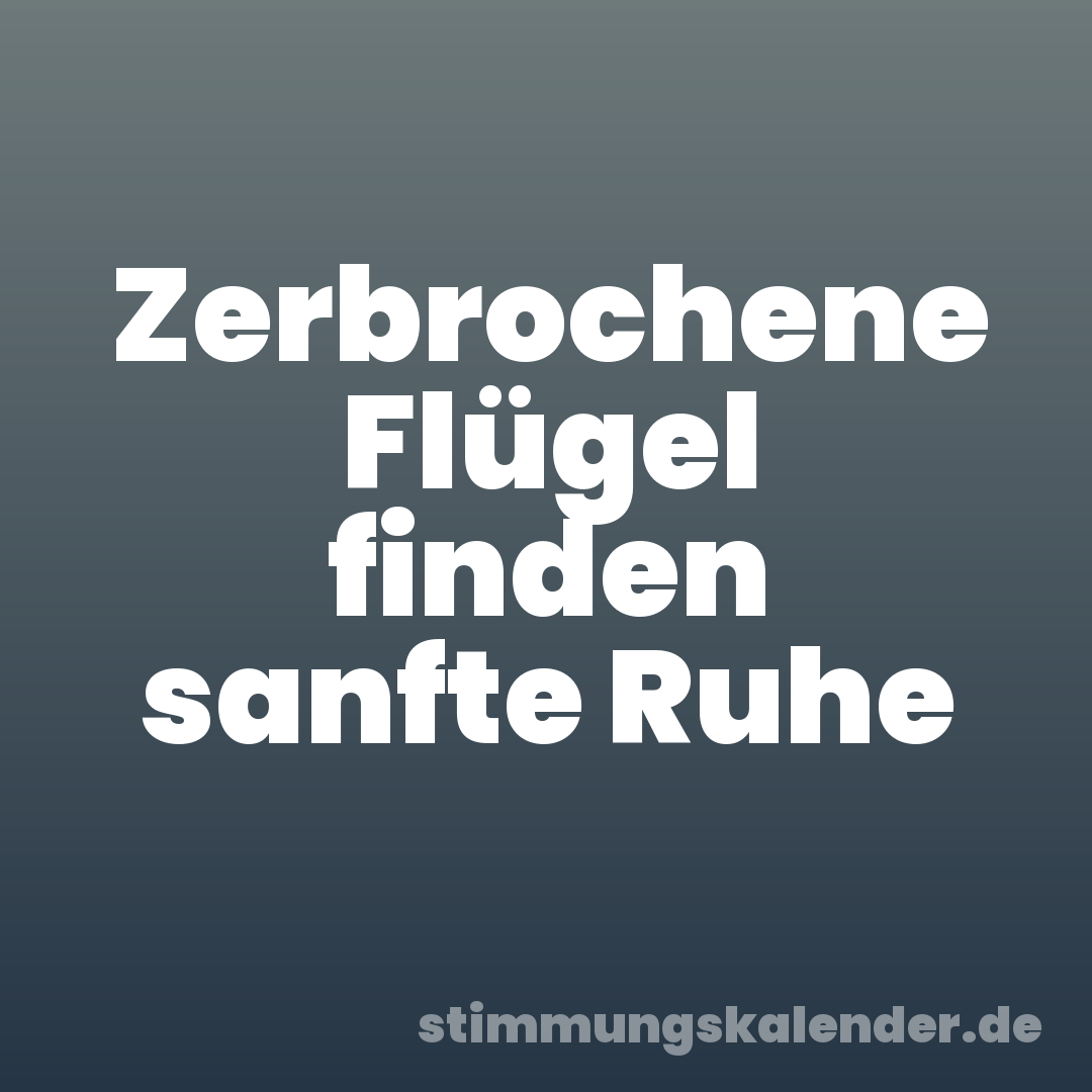 Zerbrochene Flügel finden sanfte Ruhe