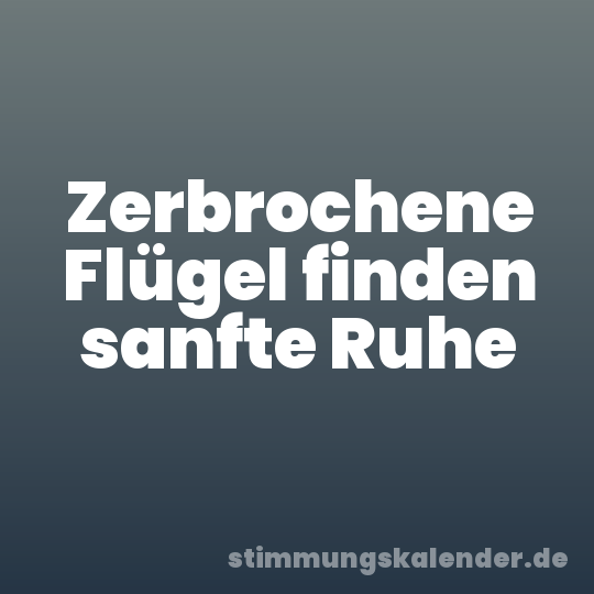 Zerbrochene Flügel finden sanfte Ruhe