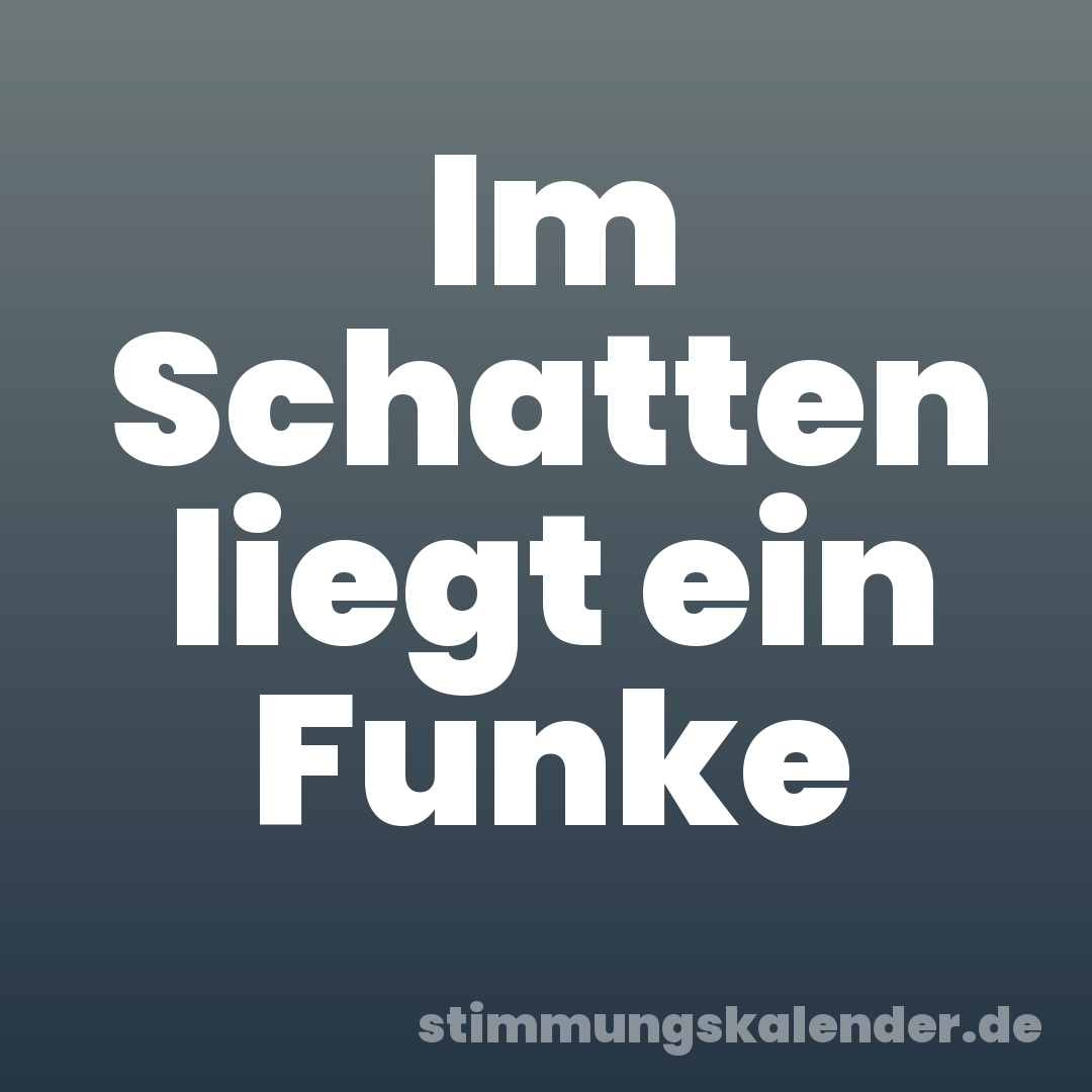 Im Schatten liegt ein Funke