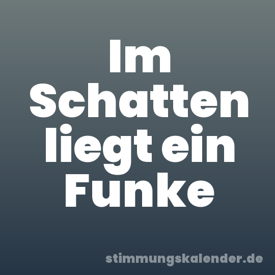 Im Schatten liegt ein Funke