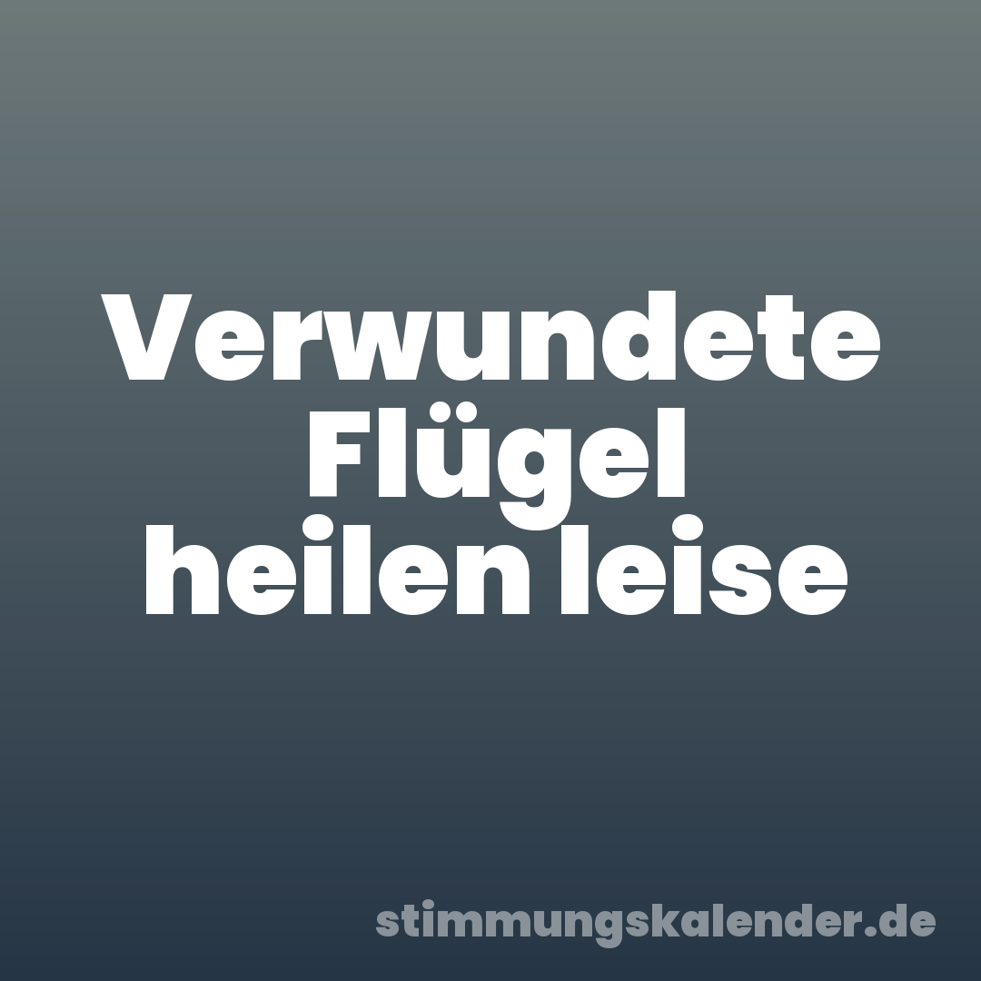 Verwundete Flügel heilen leise