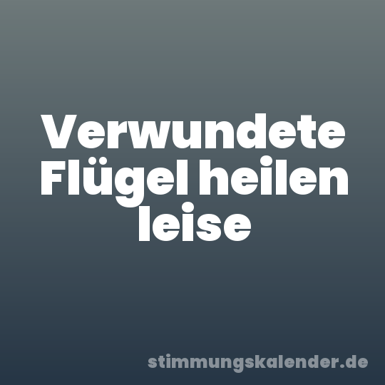 Verwundete Flügel heilen leise