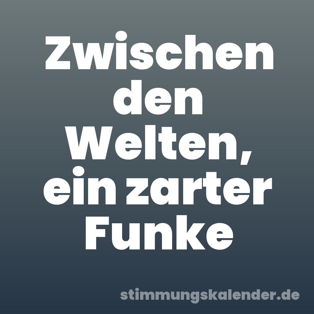 Zwischen den Welten, ein zarter Funke