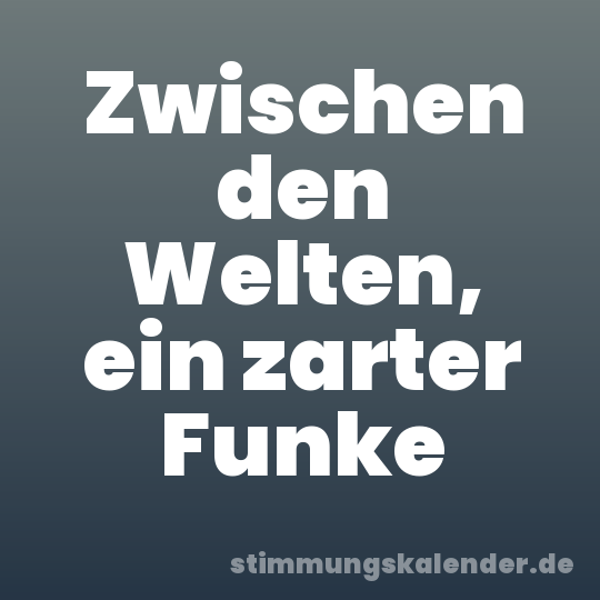 Zwischen den Welten, ein zarter Funke