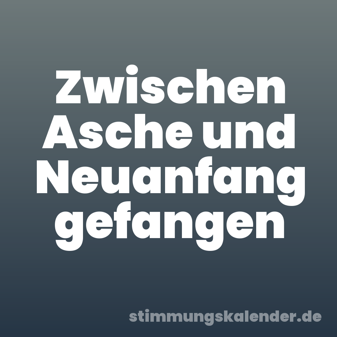 Zwischen Asche und Neuanfang gefangen