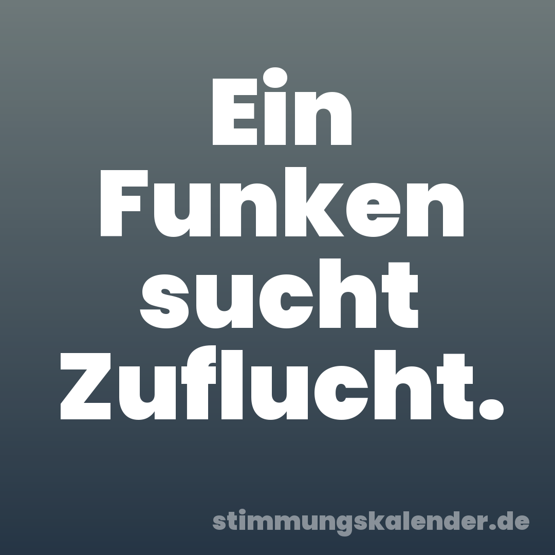 Ein Funken sucht Zuflucht.