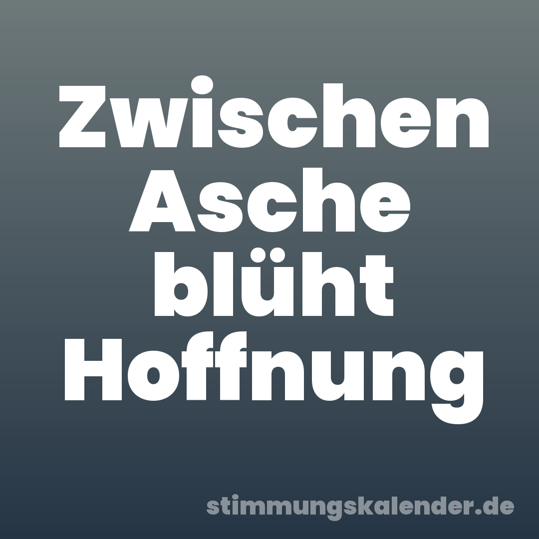 Zwischen Asche blüht Hoffnung