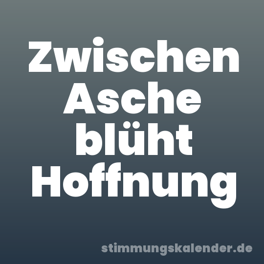 Zwischen Asche blüht Hoffnung