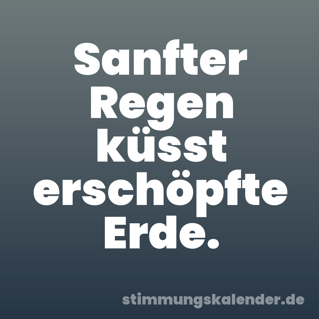 Sanfter Regen küsst erschöpfte Erde.