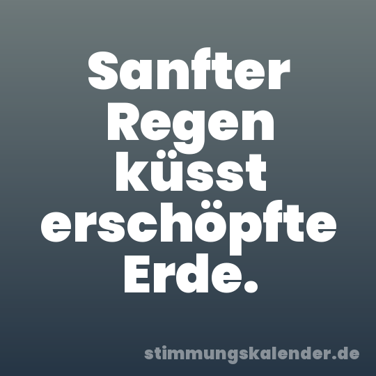 Sanfter Regen küsst erschöpfte Erde.