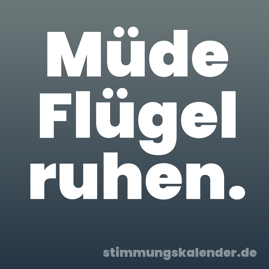 Müde Flügel ruhen.