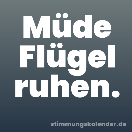 Müde Flügel ruhen.