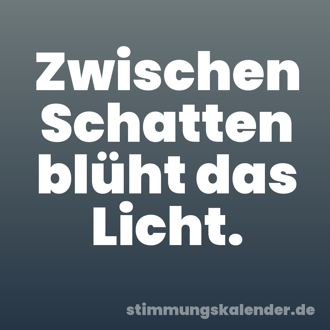 Zwischen Schatten blüht das Licht.