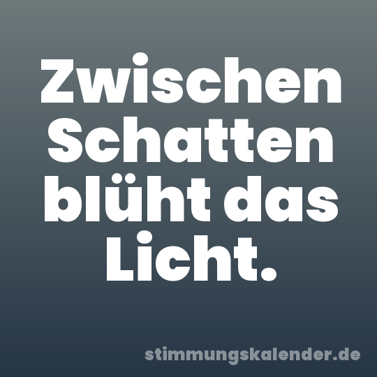 Zwischen Schatten blüht das Licht.