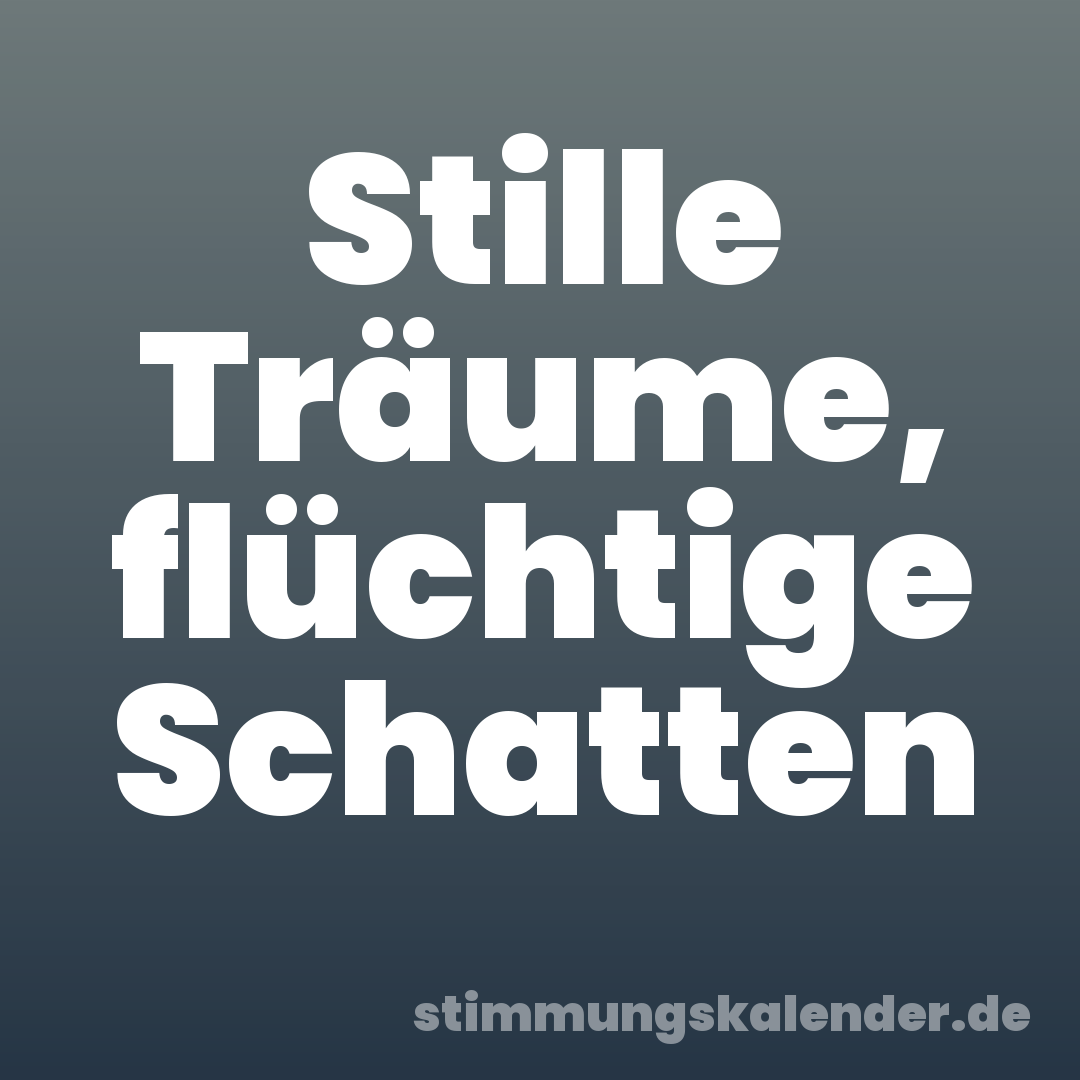 Stille Träume, flüchtige Schatten