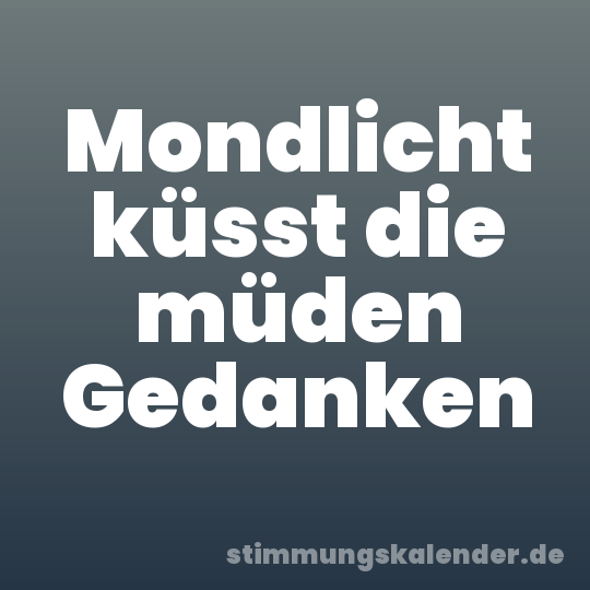 Mondlicht küsst die müden Gedanken