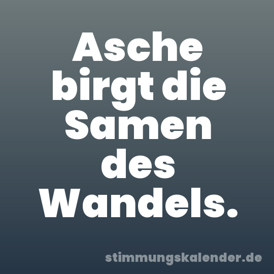 Asche birgt die Samen des Wandels.