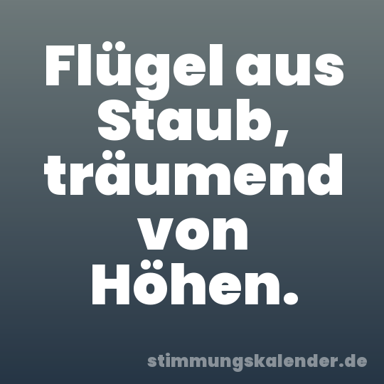 Flügel aus Staub, träumend von Höhen.