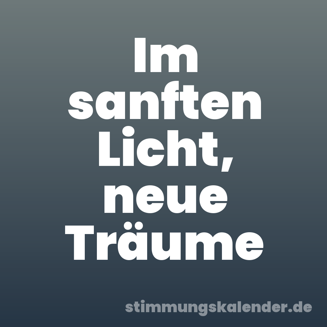 Im sanften Licht, neue Träume