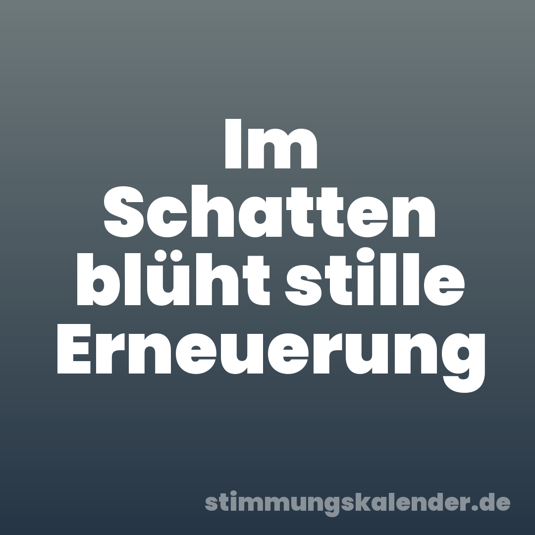 Im Schatten blüht stille Erneuerung