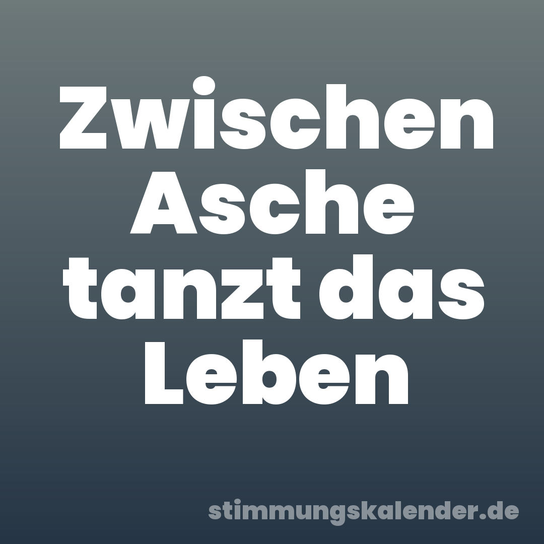 Zwischen Asche tanzt das Leben