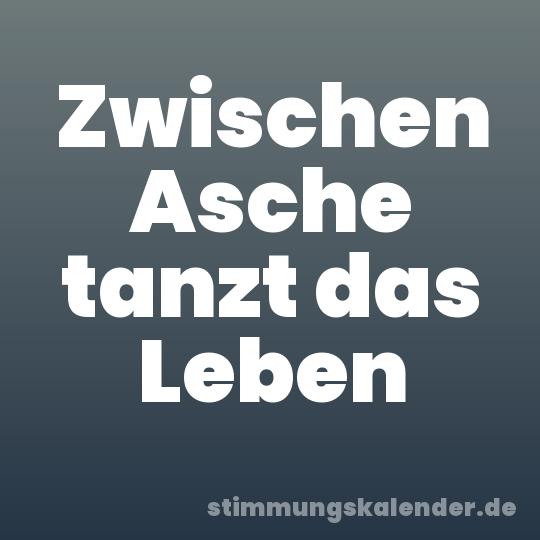 Zwischen Asche tanzt das Leben