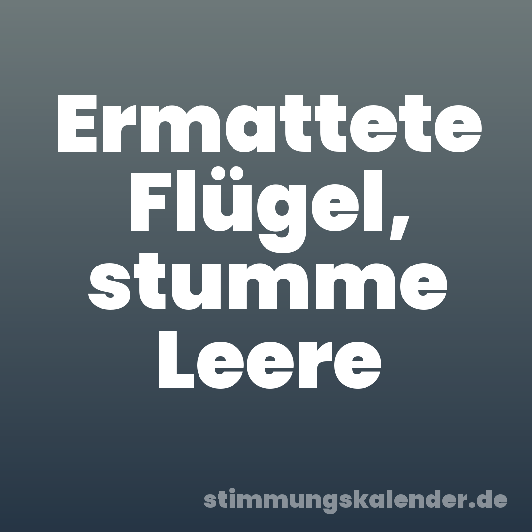 Ermattete Flügel, stumme Leere