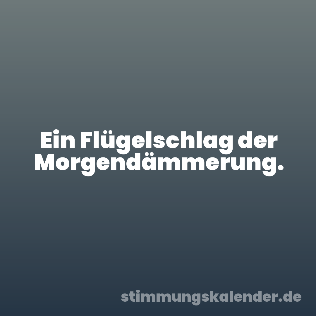 Ein Flügelschlag der Morgendämmerung.