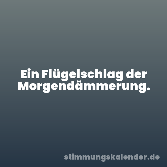 Ein Flügelschlag der Morgendämmerung.
