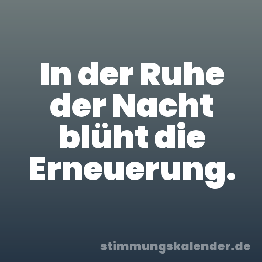 In der Ruhe der Nacht blüht die Erneuerung.