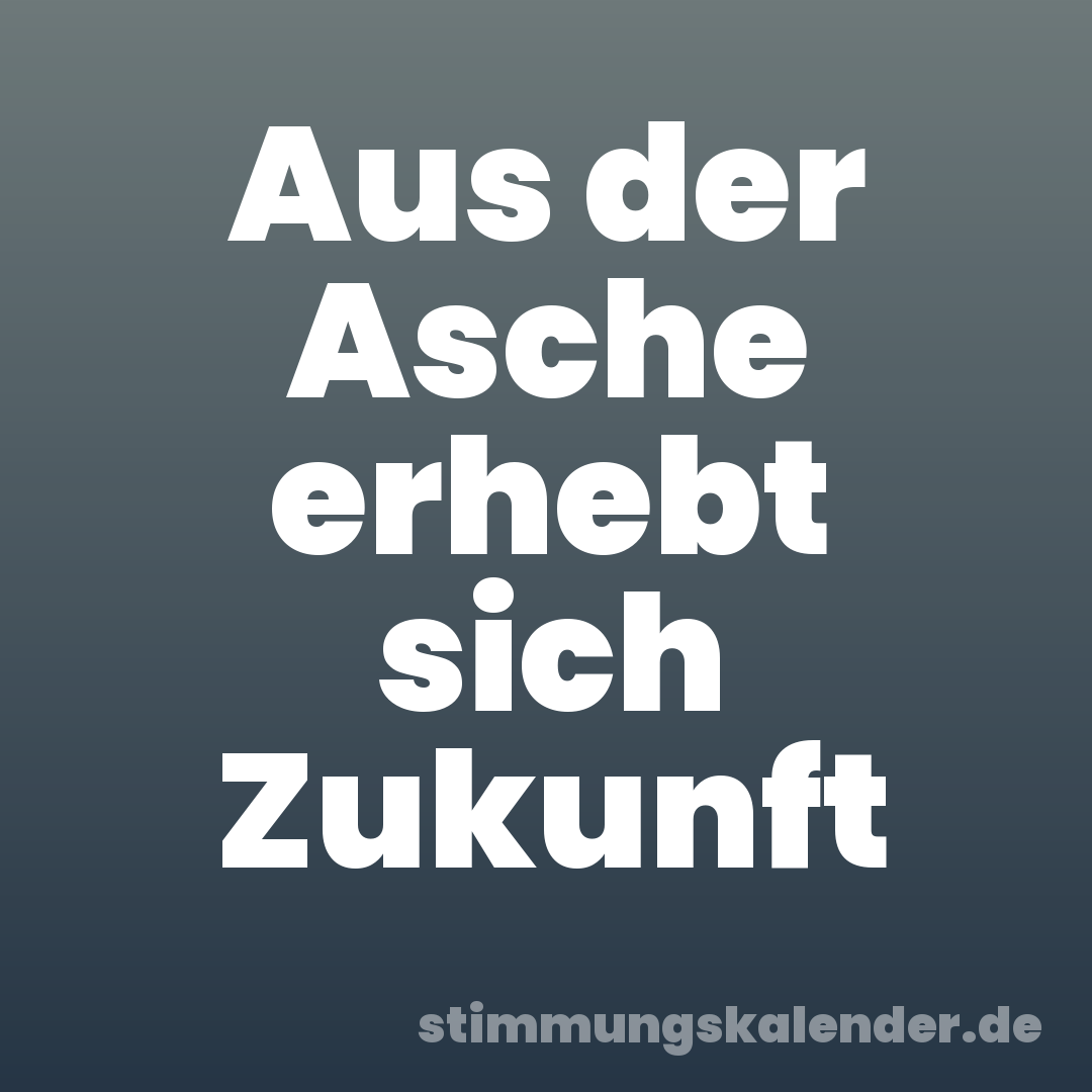 Aus der Asche erhebt sich Zukunft