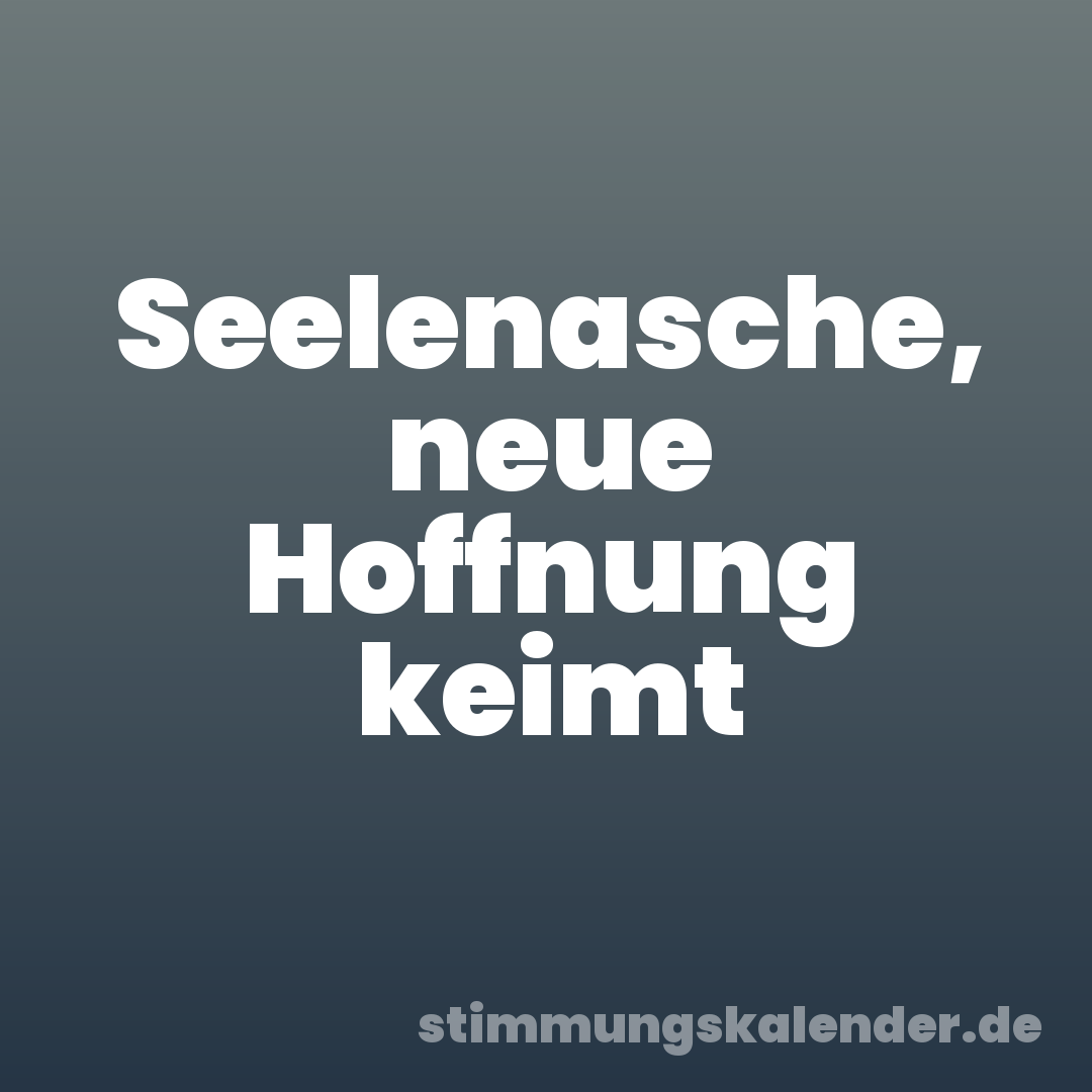 Seelenasche, neue Hoffnung keimt