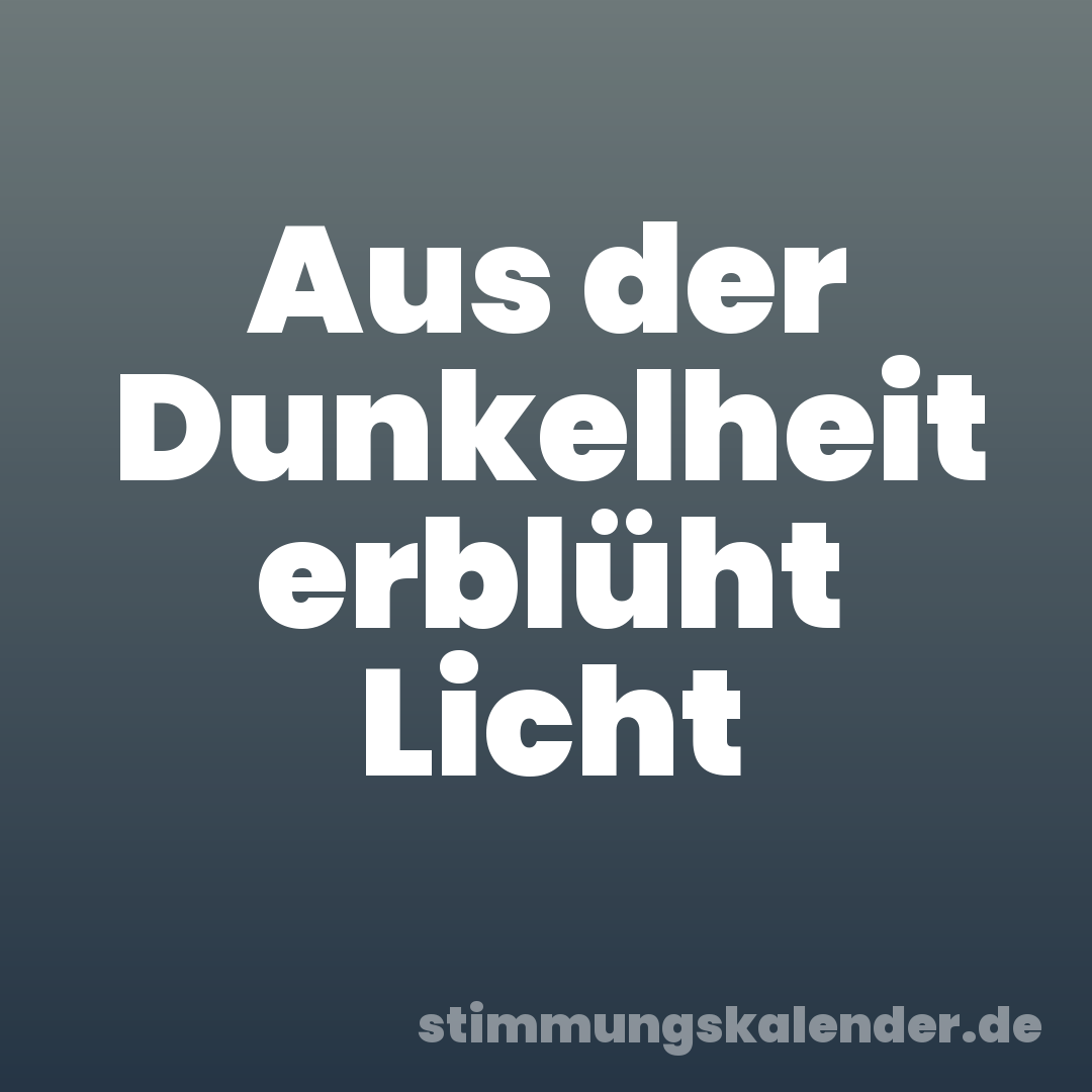 Aus der Dunkelheit erblüht Licht