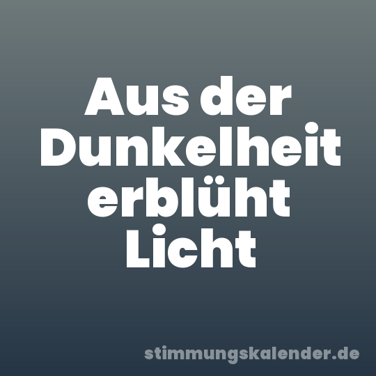 Aus der Dunkelheit erblüht Licht