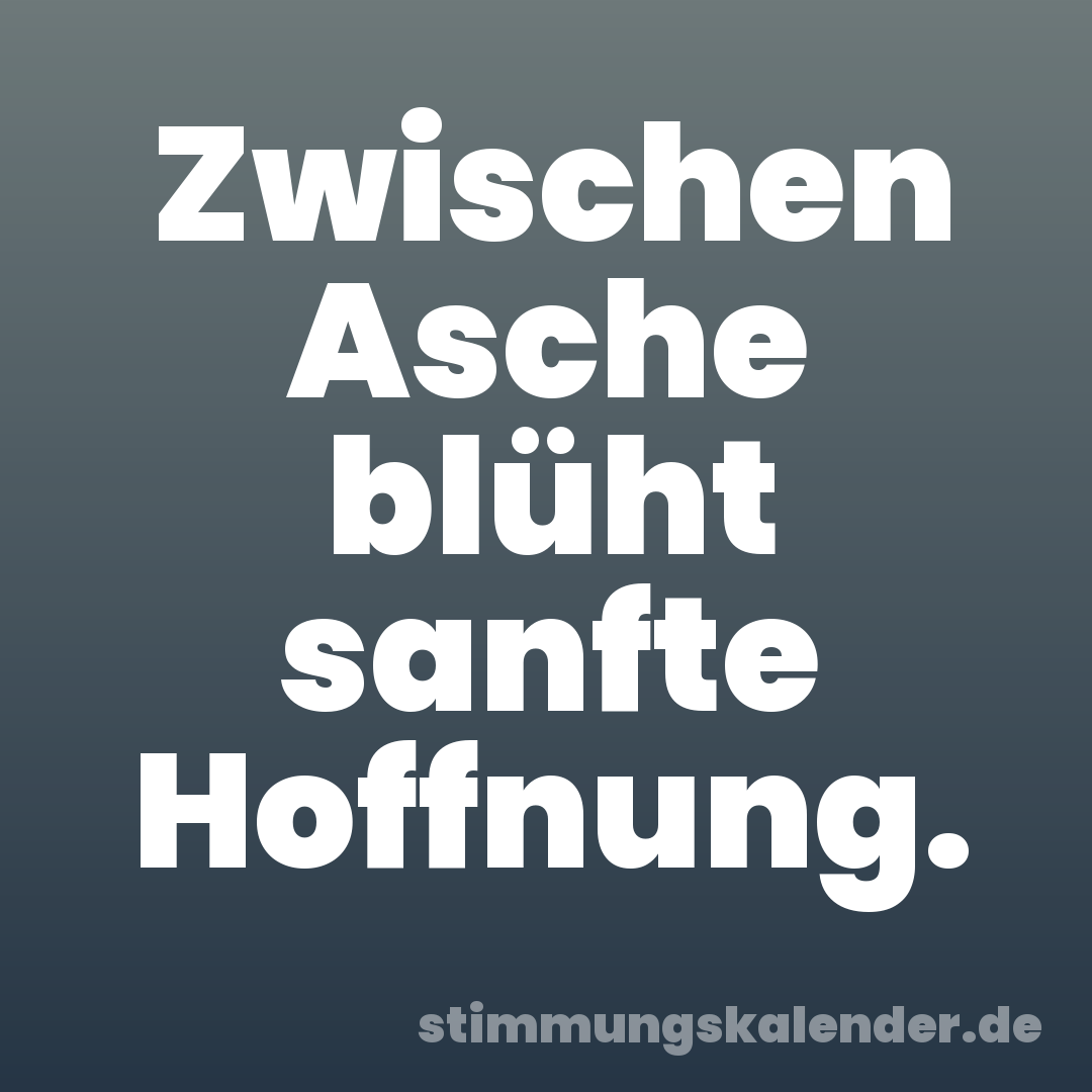 Zwischen Asche blüht sanfte Hoffnung.