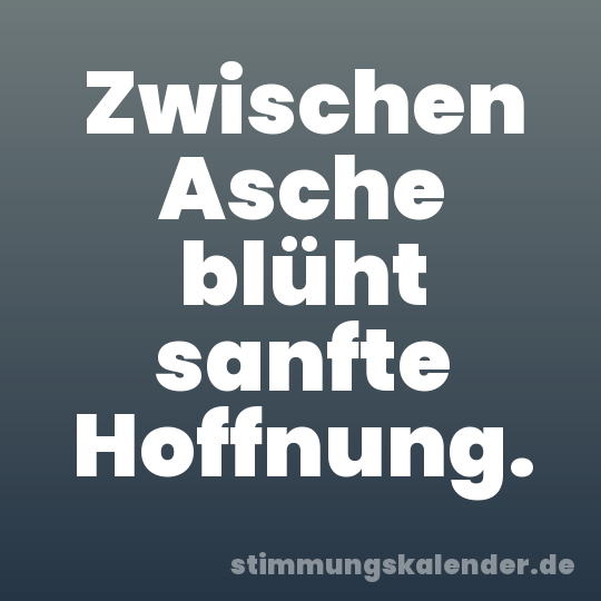 Zwischen Asche blüht sanfte Hoffnung.