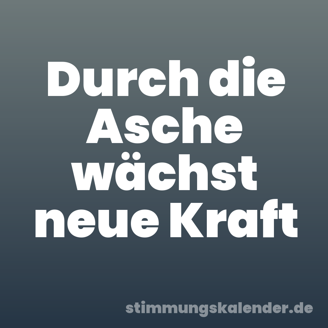 Durch die Asche wächst neue Kraft