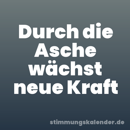 Durch die Asche wächst neue Kraft