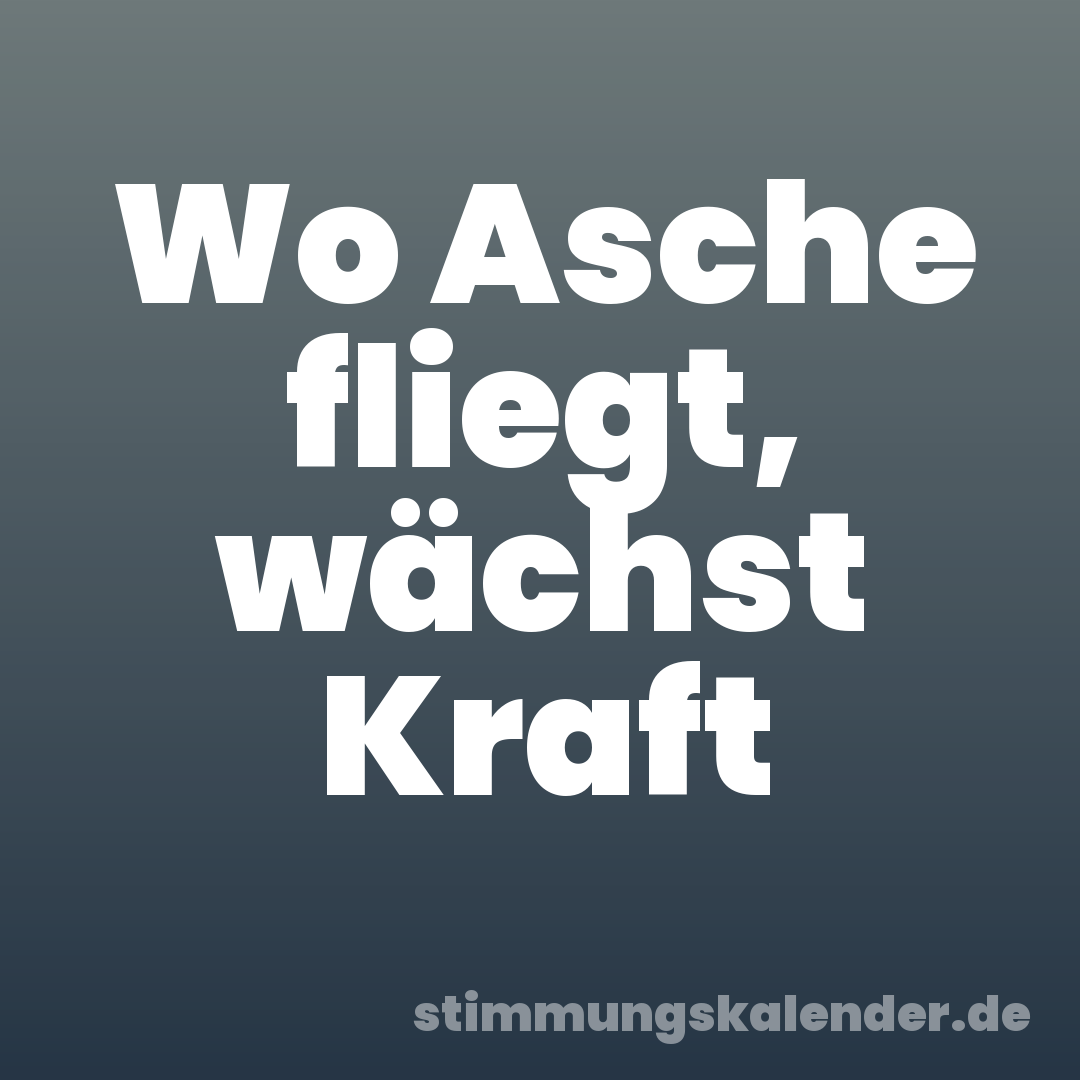 Wo Asche fliegt, wächst Kraft
