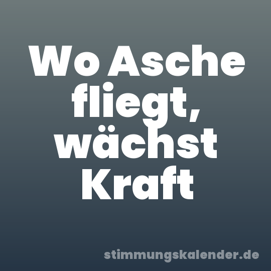 Wo Asche fliegt, wächst Kraft