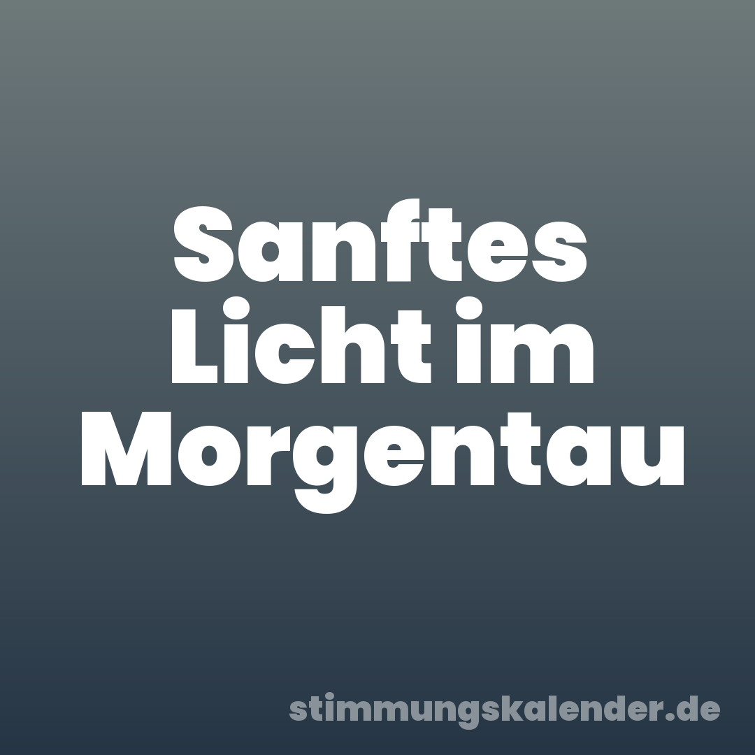 Sanftes Licht im Morgentau