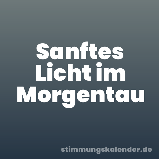 Sanftes Licht im Morgentau