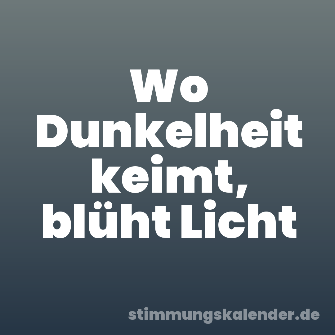 Wo Dunkelheit keimt, blüht Licht