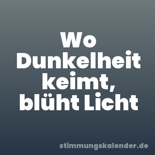 Wo Dunkelheit keimt, blüht Licht