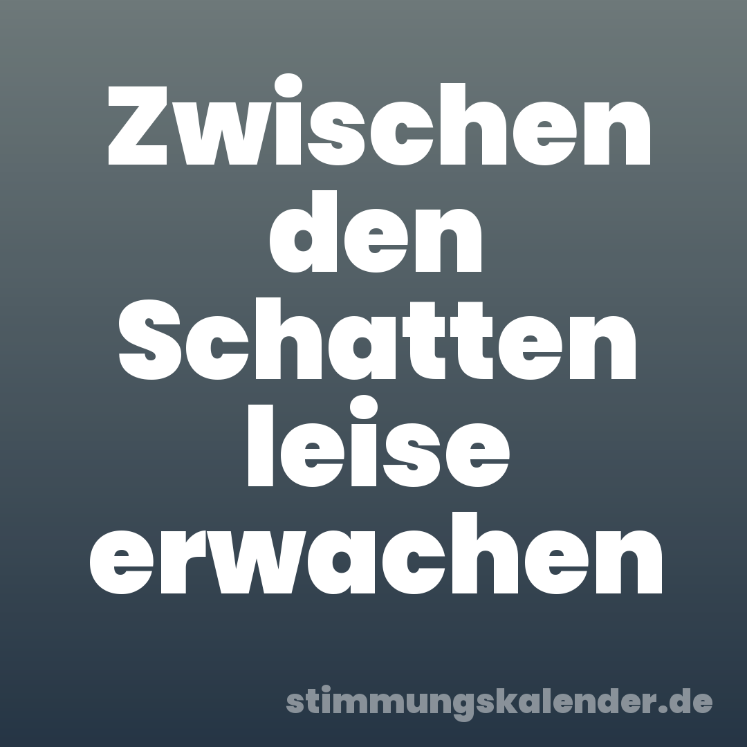 Zwischen den Schatten leise erwachen